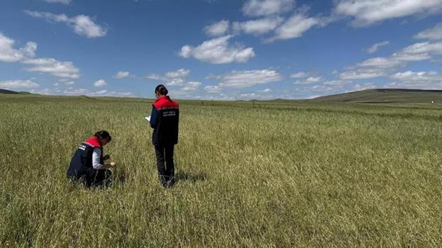 Kars'ta afet sonrası ekipler teyakkuzda! Tarlalarda hasar tespiti sürüyor, tüm imkanlar seferber ediliyor
