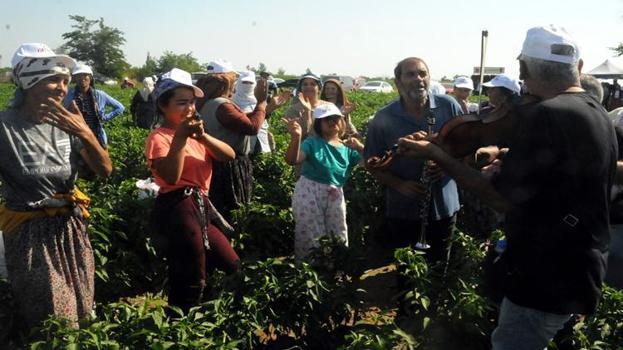Sadece Edirne'de yetişiyor! Talebe yetişemiyorlar, büyük marketler sıraya girdi