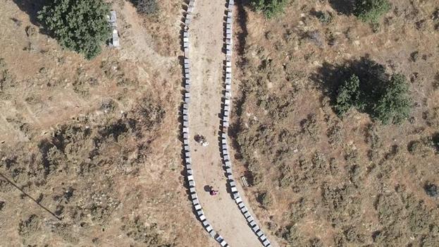 Şifa deposu üründe beklenen gün geldi! Sezonun ilk ürünü hasat edildi: Piyasada kapış kapış gidiyor