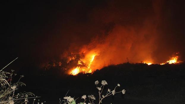Yangınlar sonrası yasak geldi! Valilik açıkladı: 4 gün yapılmayacak