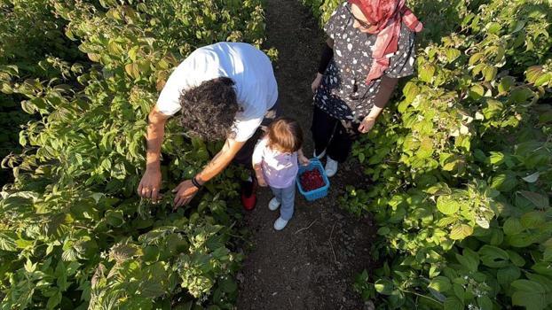Kaymakam olacaktı, tarlanın patronu oldu! Bolu'da 6 dönümle başladı, ismini duyan geldi: 'Burada istediğin kadar ye aldığın kadar öde'