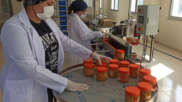 Osmaniye'nin tescilli lezzeti yer fıstığına katma değer katan tesis yöresel lezzeti ulusal pazara taşıyor
