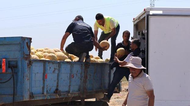 Hatay Büyükşehir'den çiftçiye ve vatandaşa dev destek: 100 ton kavun ücretsiz dağıtıldı!