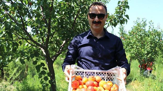 'Burada yetişmez' diyorlardı! 2015'te işi gücü bıraktı, taşlı arazide kendi serasını kurdu: 'Ağaçlar meyveden yıkılıyor!'