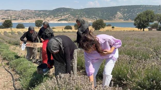 5 yıl önce dikildi, şimdi yüzleri güldürüyor! Kadınlara yeni gelir kapısı oldu