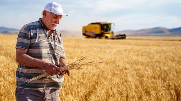 Bitlis'te hasat başladı! Yüksek verim üreticiyi sevindirdi
