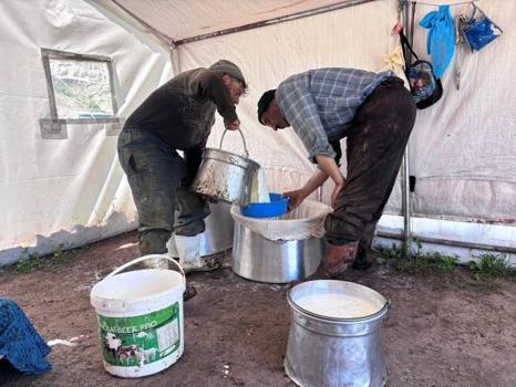 Yaylalarda başlayan emek, Erzincan tulum peyniri olarak sofralara ulaşıyor