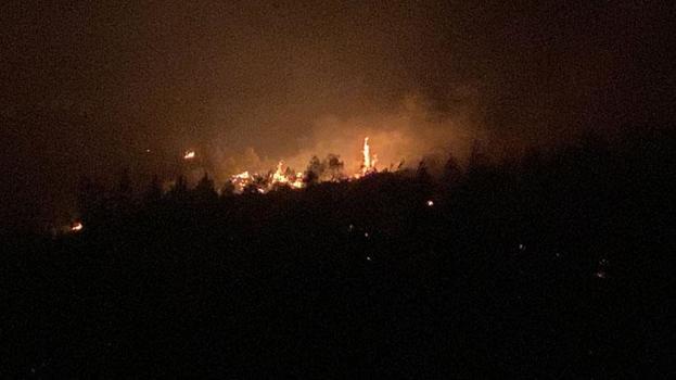 Çanakkale Ezine’de otlukta çıkan yangın ormana sıçradı