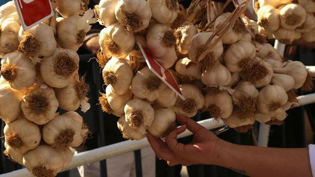 Dünyaca ünlü coğrafi işaretli Taşköprü sarımsağı festivalde yarıştı: 80 demet arasından en iyi sarımsak seçildi