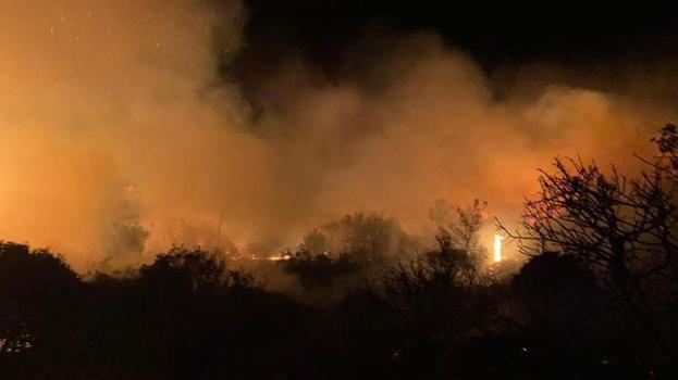 Gazipaşa’da makilik alanda yangın çıktı
