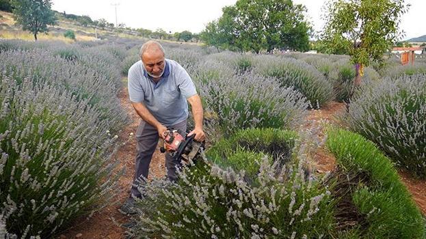 Isparta'da hasat başladı! Sezon boyunca 100 bin kişi ziyaret etti