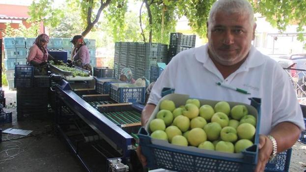 Sadece Kazdağları’nın eteklerinde yetişiyor! Kilosu 60 liraya kadar çıktı, hasadı başladı