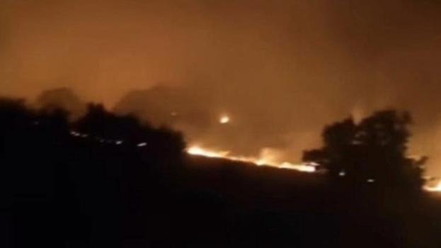 Gerger’de ormanlık alanda yangın çıktı