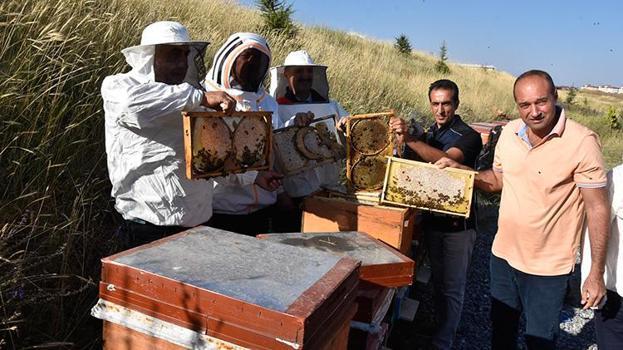 Balda sahteciliğin önüne geçilecek! Bitlis Balı dünya standartlarında test edilecek: 8 parametrede uluslararası onay alındı