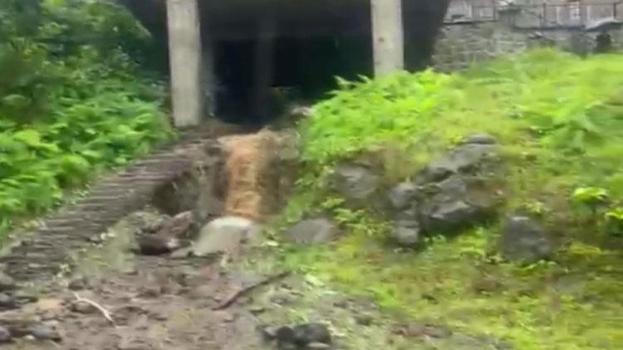 Şiddetli yağışlar Rize'de heyelan ve su taşkınlarına neden oldu