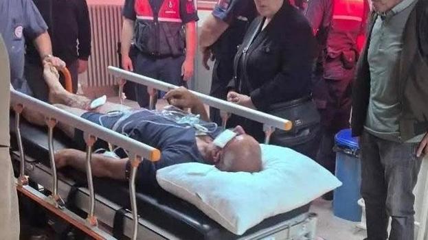 Ormanda ayı saldırısına uğradı, köpekleri sayesinde kurtuldu