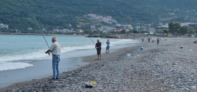 Karadeniz'de balık bolluğu yaşanıyor! Oltasını kapan denize koştu