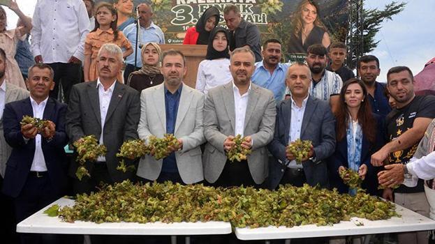 Fısdık festivali bu sefer Karadeniz'de düzenlenmedi! Akdeniz bölgesinde yıllık üretim 200 tonu buldu