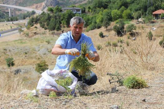 Nazardan koruduğuna inanılıyor, 150 liradan satılıyor