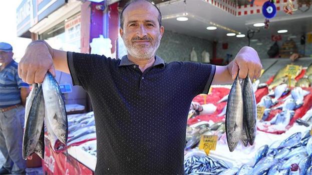 Tezgâhlar şenlendi, balıkçılardan müjdeli haber geldi: Fiyatlar düşecek! 'En son 5-6 yıl önce böylesi görüldü'