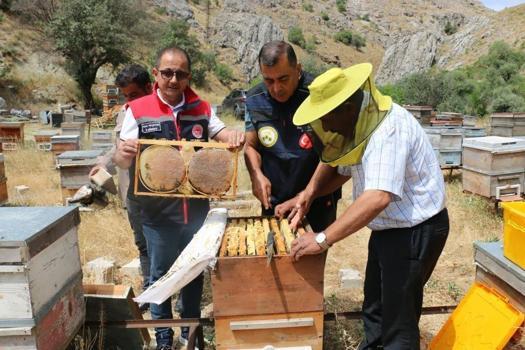 Erzincan’da bal hasadı başladı! Bin 500 ton rekolte bekleniyor