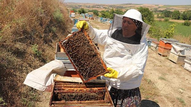 30 yıl önce tarlada bulduğu tek bir kovanla başlamıştı! Eşinin desteğiyle dev çiftliğe dönüştürdü