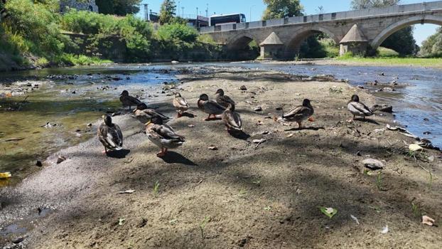 Edirne'de alarm veren kuraklık: Tunca Nehri'nin debisi 4 metreküpe düştü