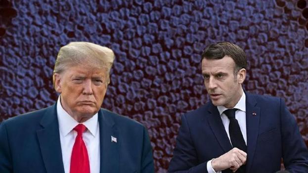 Trump ve Macron'a Bitlis'ten gitti! 2.100 metre yükseklikte üretim patladı, hasat zengin edecek