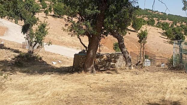 Bingöl'de tepeye gömüldü, köyün kaderi değişti! 300 yıllık gizem: Yapmadığımız sene felaket yaşandı