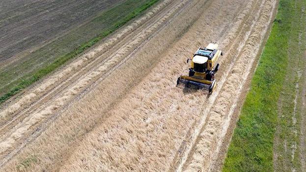 Kars tarlalarında altın değerinde arpa hasadı: Rekolte %60 artışla çiftçinin yüzünü güldürdü!