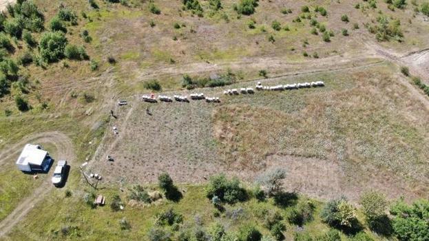 Kastamonu'da hasat bitti! Verim düştü, kilosu 1500 liradan satılıyor