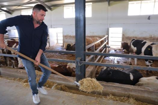 Müşterisinin elektrik işini yaparken hayvancılığa başladı! Hayatı tamamen değişti, 200 hayvanla dev çiftlik sahibi oldu!