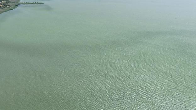 Uluabat Gölü'nde alarm: Ramsar koruma altındaki göl alg patlaması nedeniyle yeşile büründü!