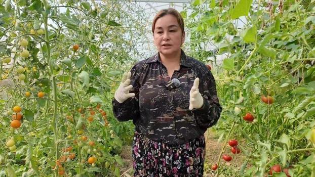 Çocukluk hayali mesleği oldu: %75 hibeyle üretime başladı, Edirne'de modern seracılığın öncüsü oldu