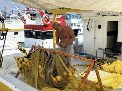 Balıkçılardan yüz güldüren sezon müjdesi: Bu sene palamut bol, fiyatı çok ucuz olacak!