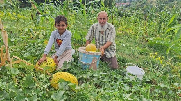 Türkeli’de küçük ölçekli tarımsal üretim büyük ürün verdi