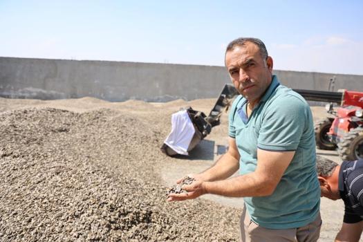 Kahramanmaraş'ta ay çekirdeği hasadı başladı! 10 bin ton rekolte bekleniyor: Üreticinin yüzü gülüyor!