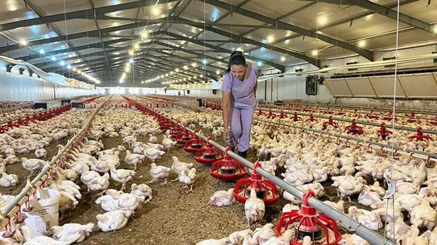 Eşinin emanetine sahip çıktı: Memurluğu bırakıp çiftliğin başına geçti