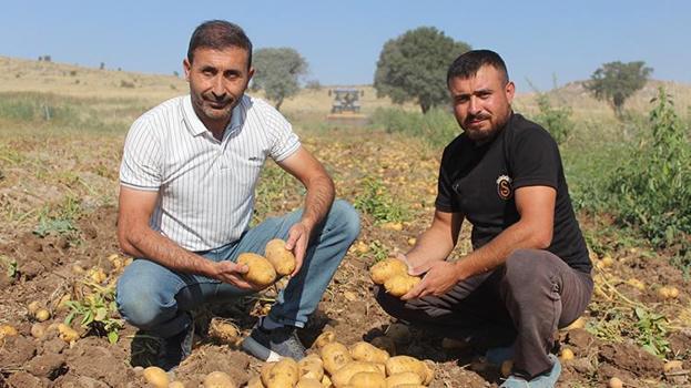 Aksaray'da patatesin tarla fiyatı 10 liraya düştü! Çiftçi market ve pazardaki yüksek fiyata anlam veremiyor