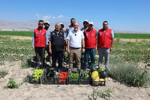 Niğde'de 51 bin fidenin karşılığı alındı: NOHÜ'de hasat yapıldı
