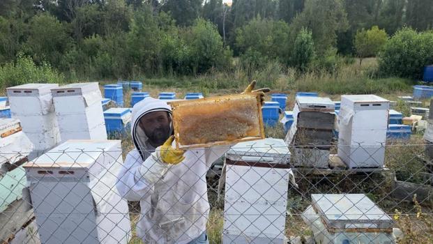 Hobi olarak 3 kovanla başladı, şimdi işi ticarete döktü