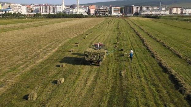 Ardahan'da zorlu mesai başladı: Kış başlamadan depolara dolduruyorlar
