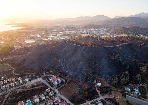 Muğla'da yıllarca silinmeyecek manzara! Yangından geriye kaldı