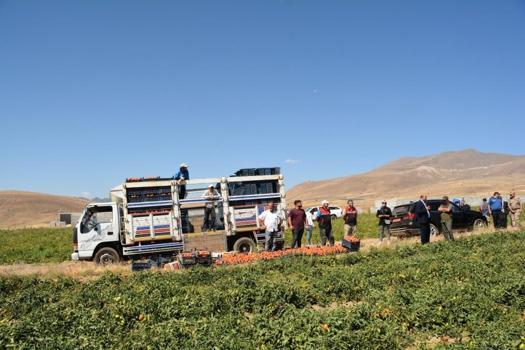 Türkiye 7'ncisi oldu! Bitlis'te dev üretim: Bölgenin zirvesine yerleşti
