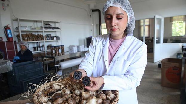 Güney Kore gezisinde gördü Kastamonu'da üretti! Girişimci vatandaş Taşköprü'nün beyaz altınını siyah altına çevirdi