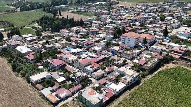 Hatay'da görenlerin eli yüzü yanıyor, hasattan vazgeçmiyorlar! Kilosu 300 TL'den kapışılıyor