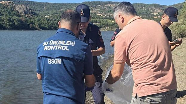 Çanakkale'de yüzlercesi öldü, inceleme başlatıldı