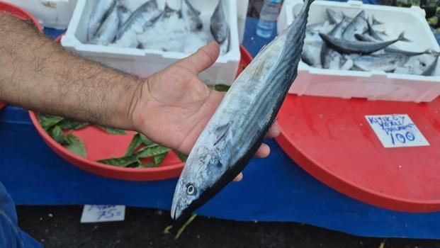 Fırtınaya rağmen tezgâhların gözdesi! 75 liraya kadar düştü