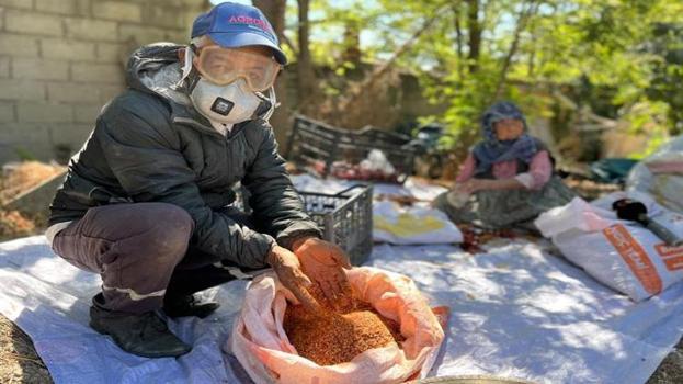 Sebzeden zarar etti, ata tohumuna yöneldi! Kilosu 400 lira, Türkiye’nin her yerine satıyor