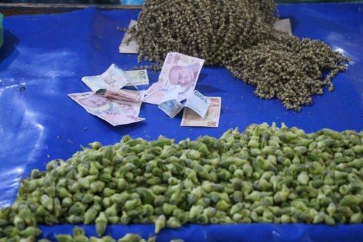 Ancak gramla alınabiliyor: Kıymetini sadece kadınlar biliyor, 2 bin 500 ton üretimi var